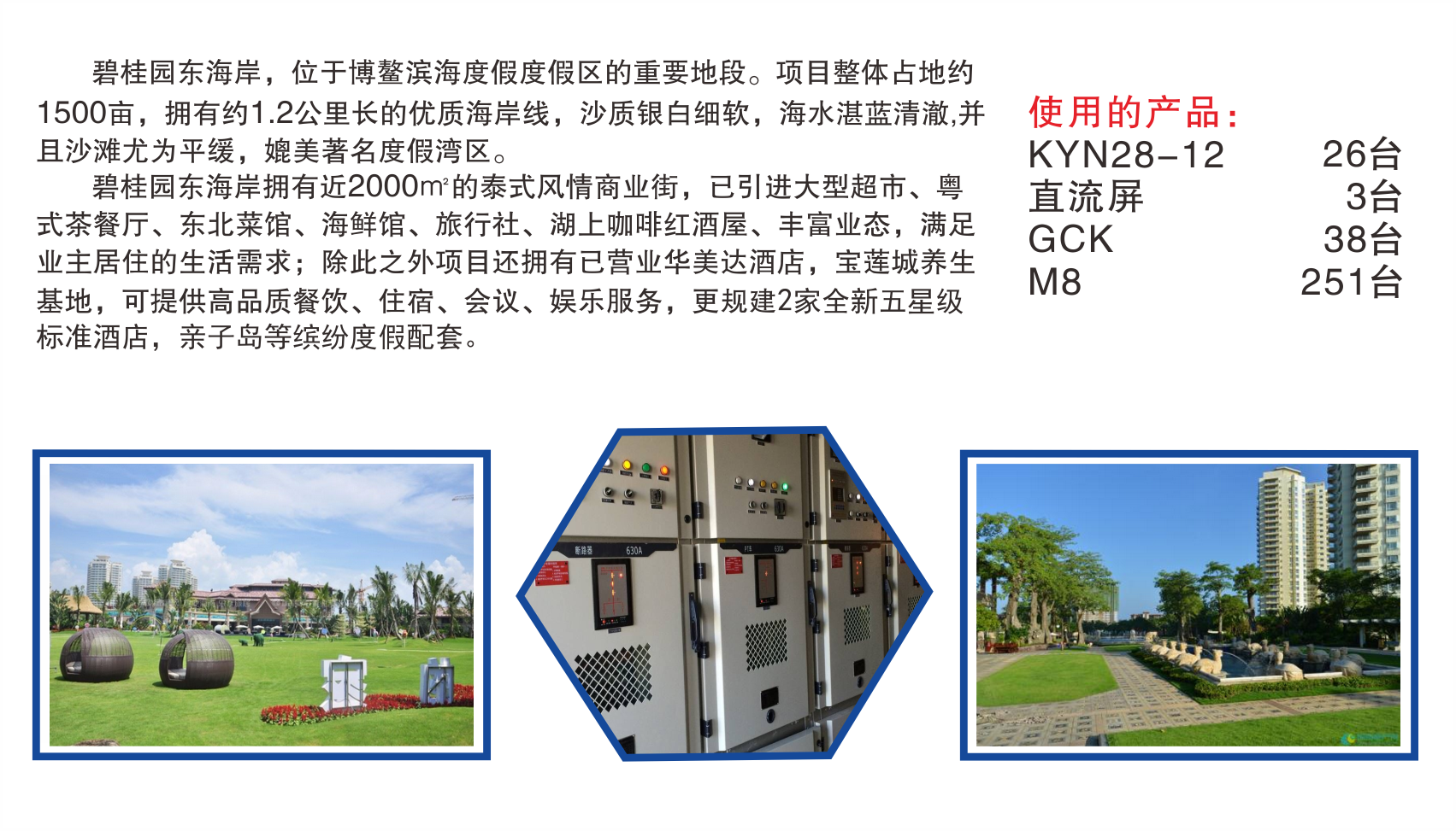 碧桂园东海岸.png